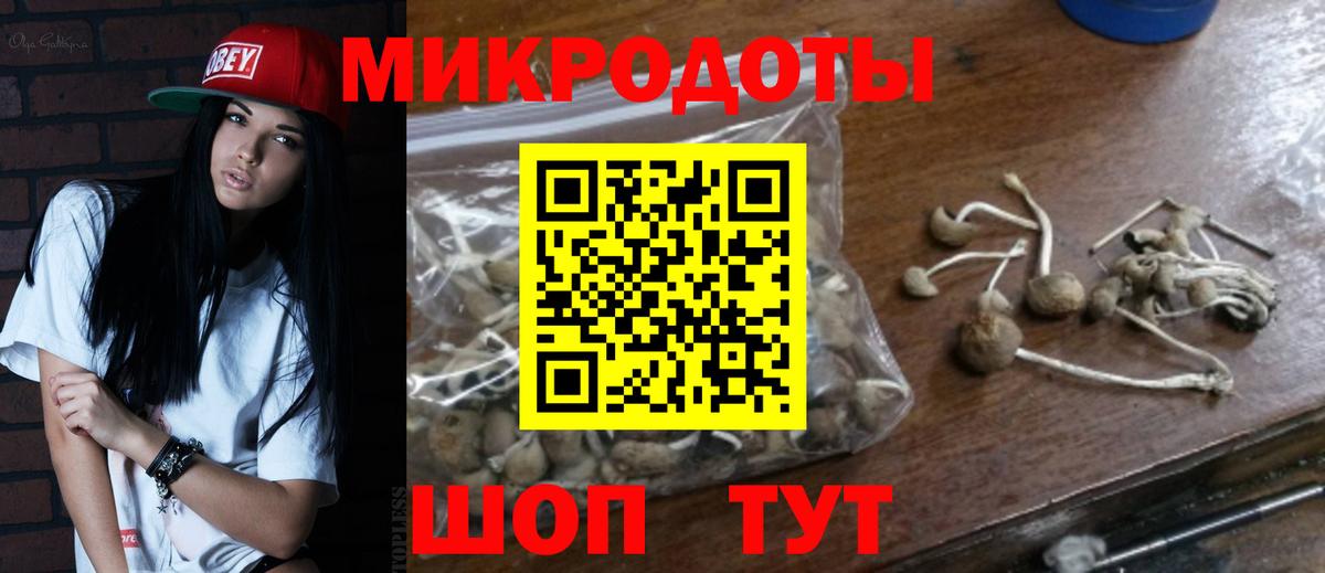 Псилоцибиновые грибы мицелий  Вход с VPN  Псилоцибиновые грибы Psilocybe  Северобайкальск 