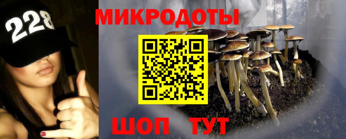 Псилоцибиновые грибы Cubensis Северобайкальск